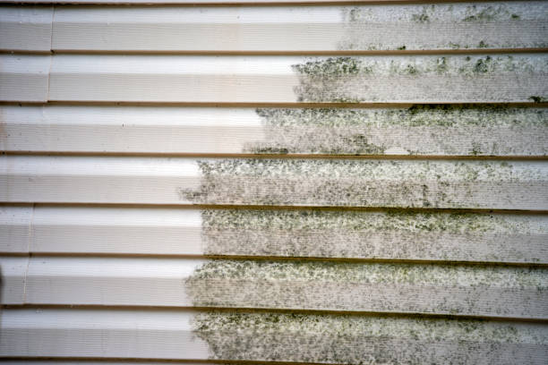Best Garage Cleanout  in Cattaraugus, NY