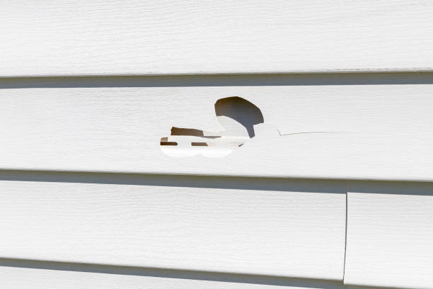 Reliable Cattaraugus, NY Junk Removal Solutions