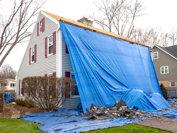 Best Dumpster Rental Services  in Cattaraugus, NY