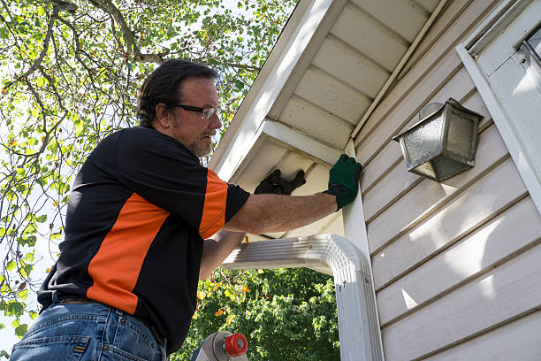 Best Shed Removal  in Cattaraugus, NY